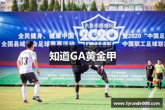 知道GA黄金甲